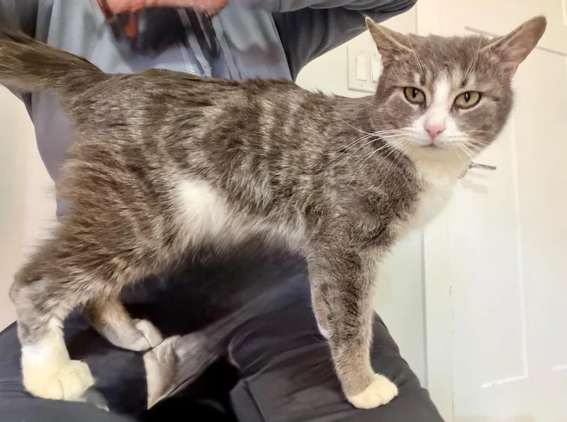 Fernando thumbnail 3