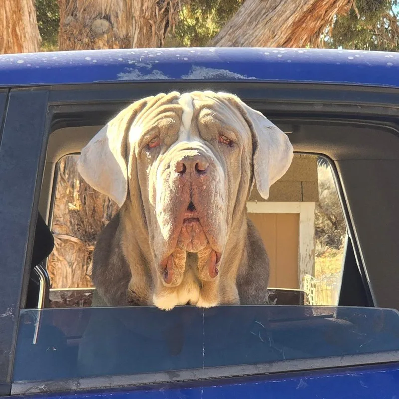 Doc Jiggles thumbnail 2