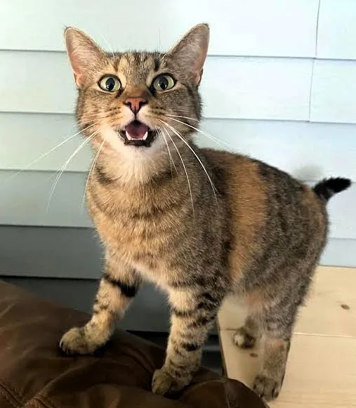 Billy & Buttercup thumbnail 3