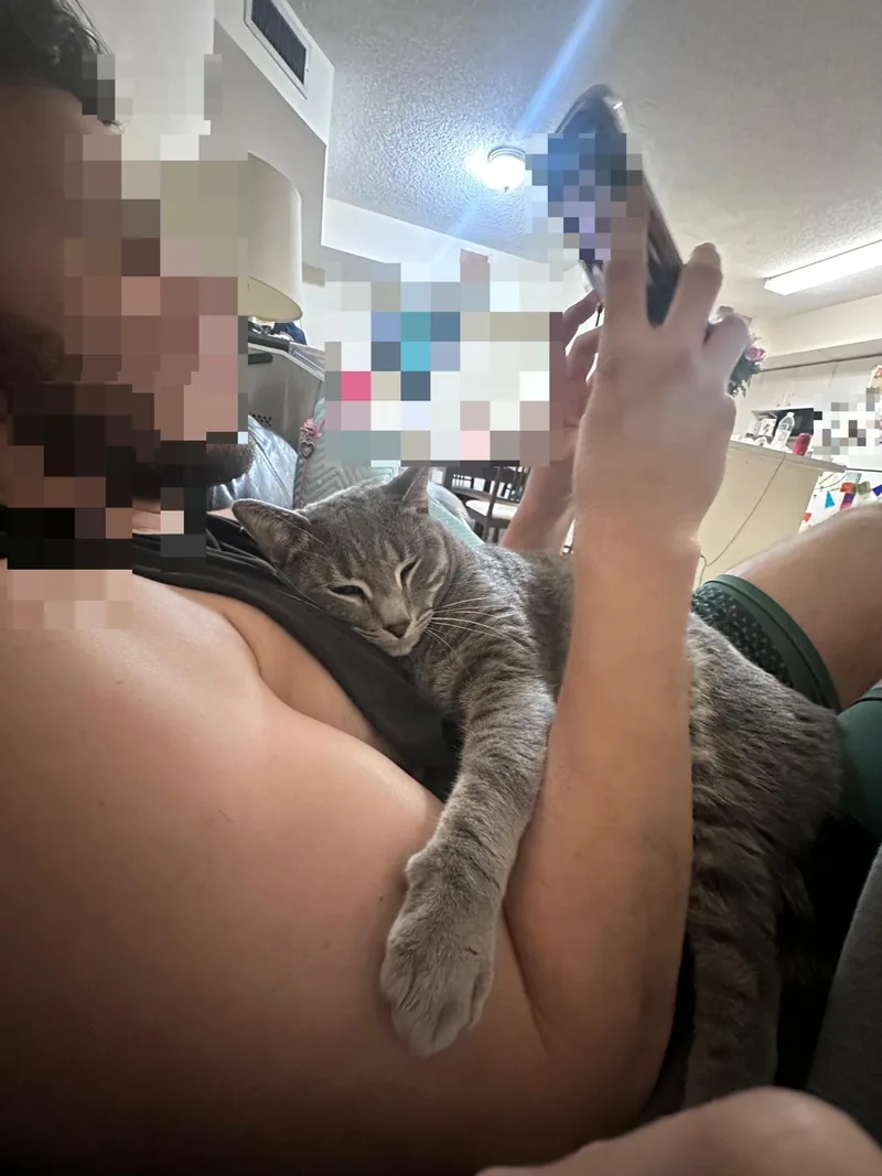 Garfield & Drake Bonded thumbnail 3