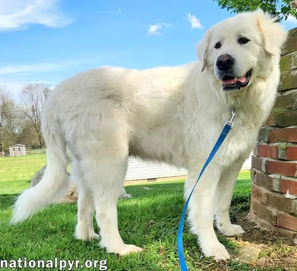 Arlo In Ky  thumbnail 2