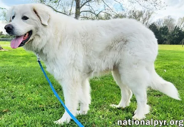 Arlo In Ky  thumbnail 3
