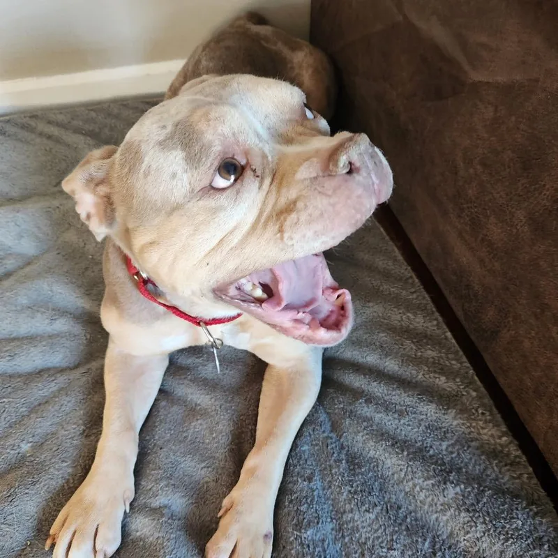 Taylor Swift thumbnail 2