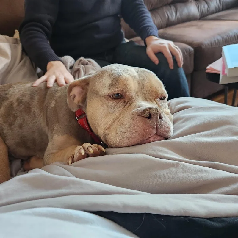 Taylor Swift thumbnail 3