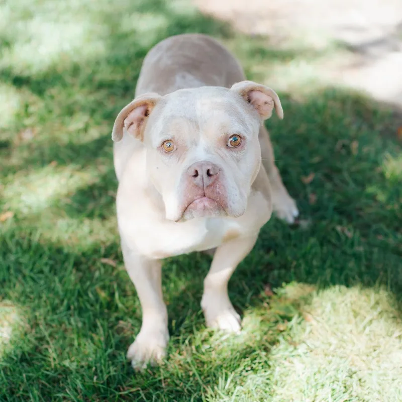 Taylor Swift thumbnail 4