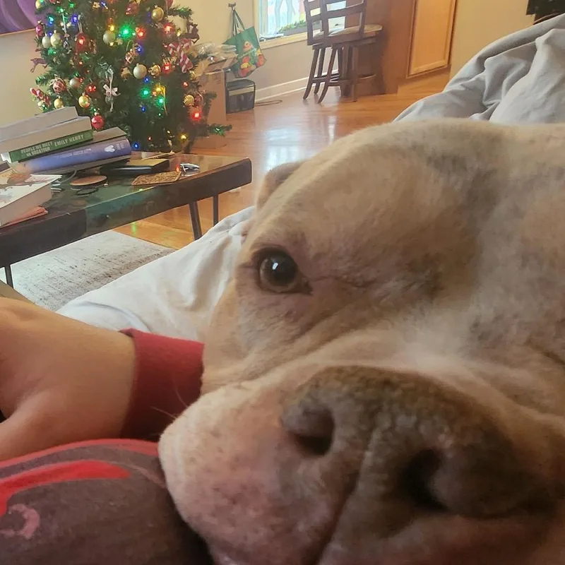 Taylor Swift thumbnail 5