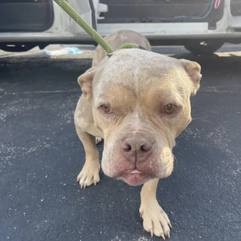 Taylor Swift thumbnail 6