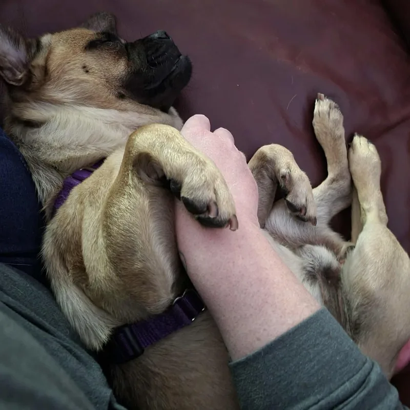 Gus thumbnail 3