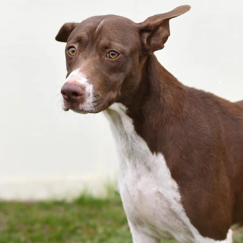 Tessa Jum thumbnail 2