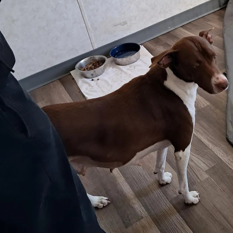 Tessa Jum thumbnail 3