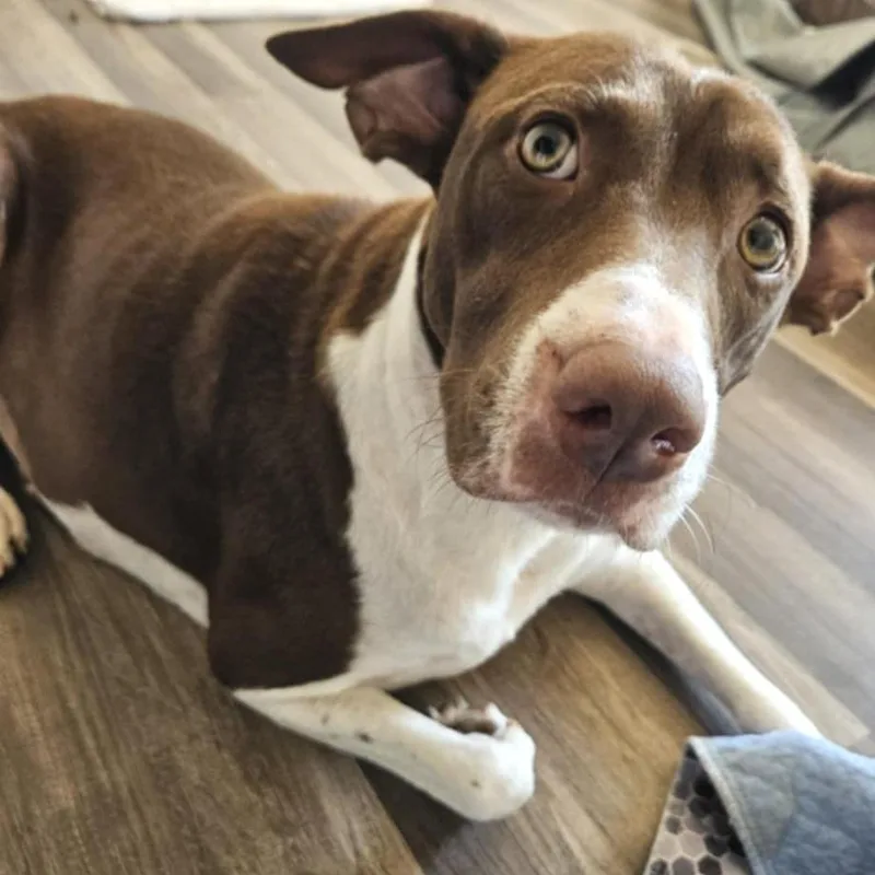 Tessa Jum thumbnail 4