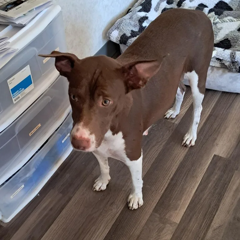 Tessa Jum thumbnail 5