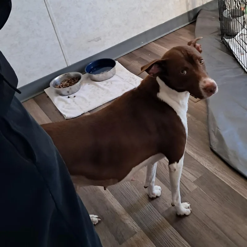 Tessa Jum thumbnail 6