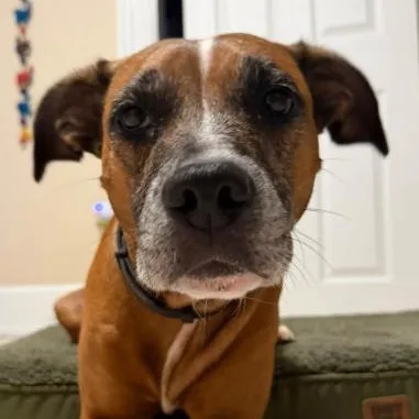 Libby thumbnail 3