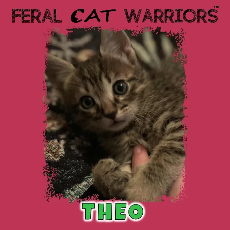 Theo