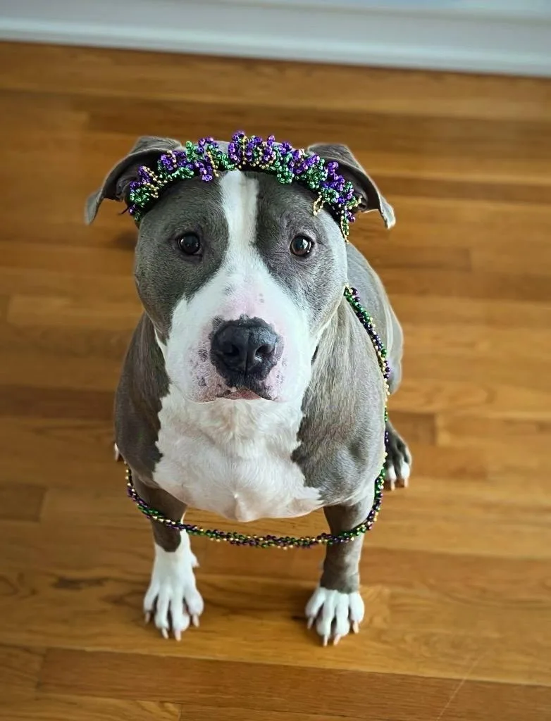 Big Daddy  Local thumbnail 2