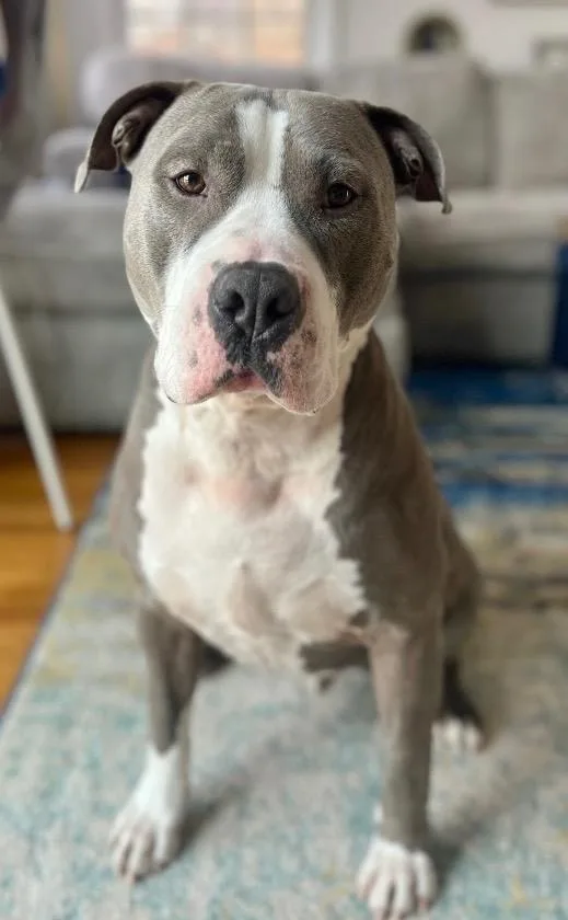 Big Daddy  Local thumbnail 4