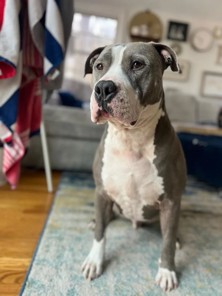 Big Daddy  Local thumbnail 5