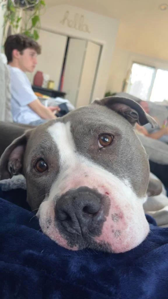 Big Daddy  Local thumbnail 6