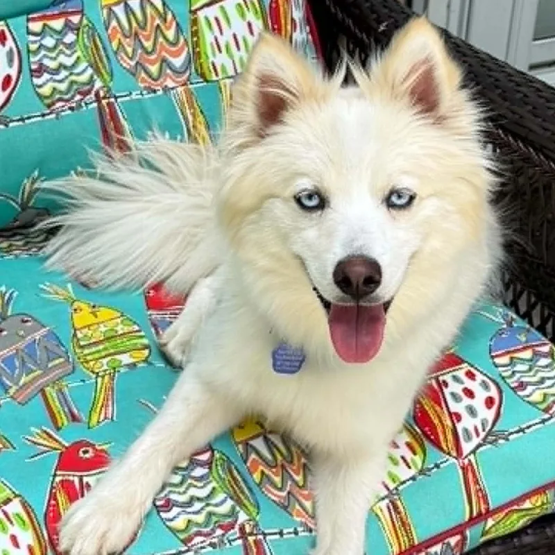 Yuki thumbnail 5