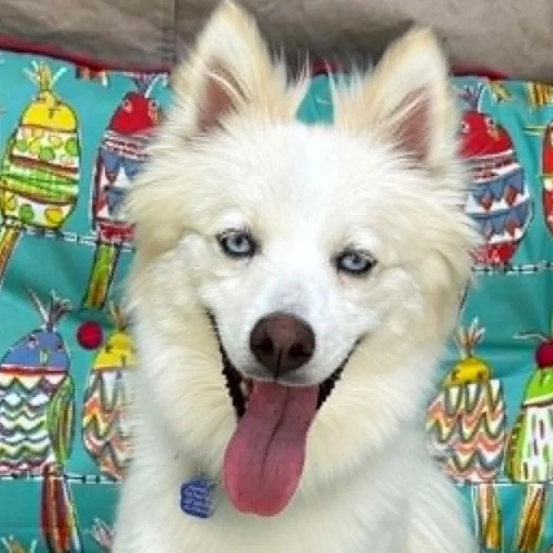 Yuki thumbnail 6
