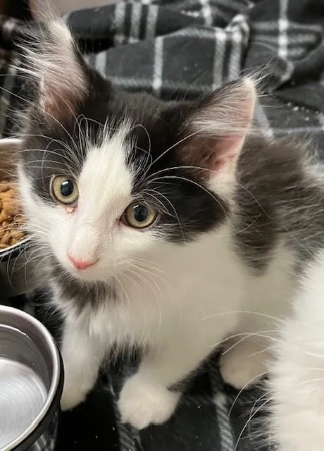 Ernie thumbnail 3