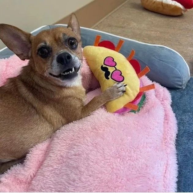 Little Man & Princess thumbnail 2