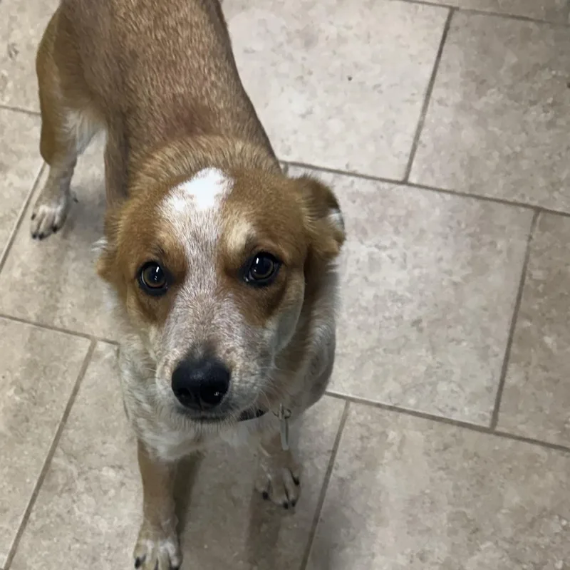 Mrs Beasley thumbnail 2