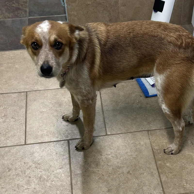 Mrs Beasley thumbnail 3