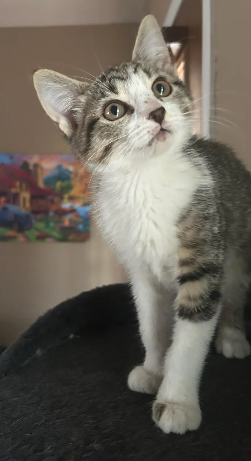 Loretta thumbnail 4