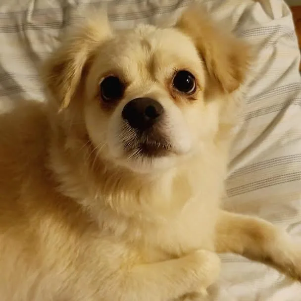 Casper thumbnail 4
