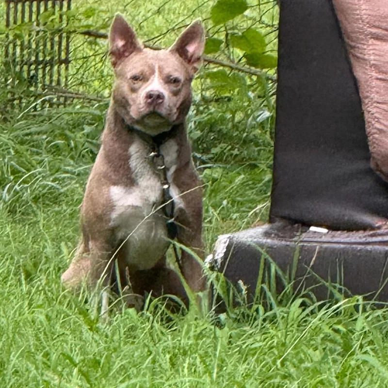 Sir.