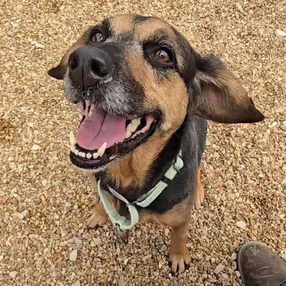 Dorothy K thumbnail 2