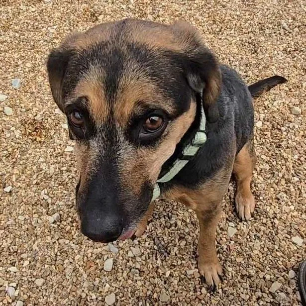 Dorothy K thumbnail 3