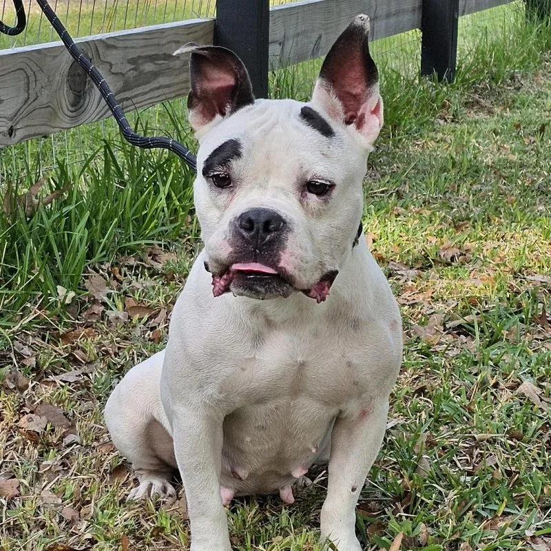 Bonnie