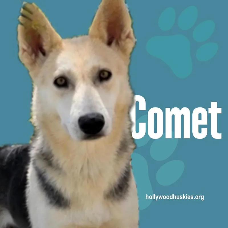 Comet thumbnail 2