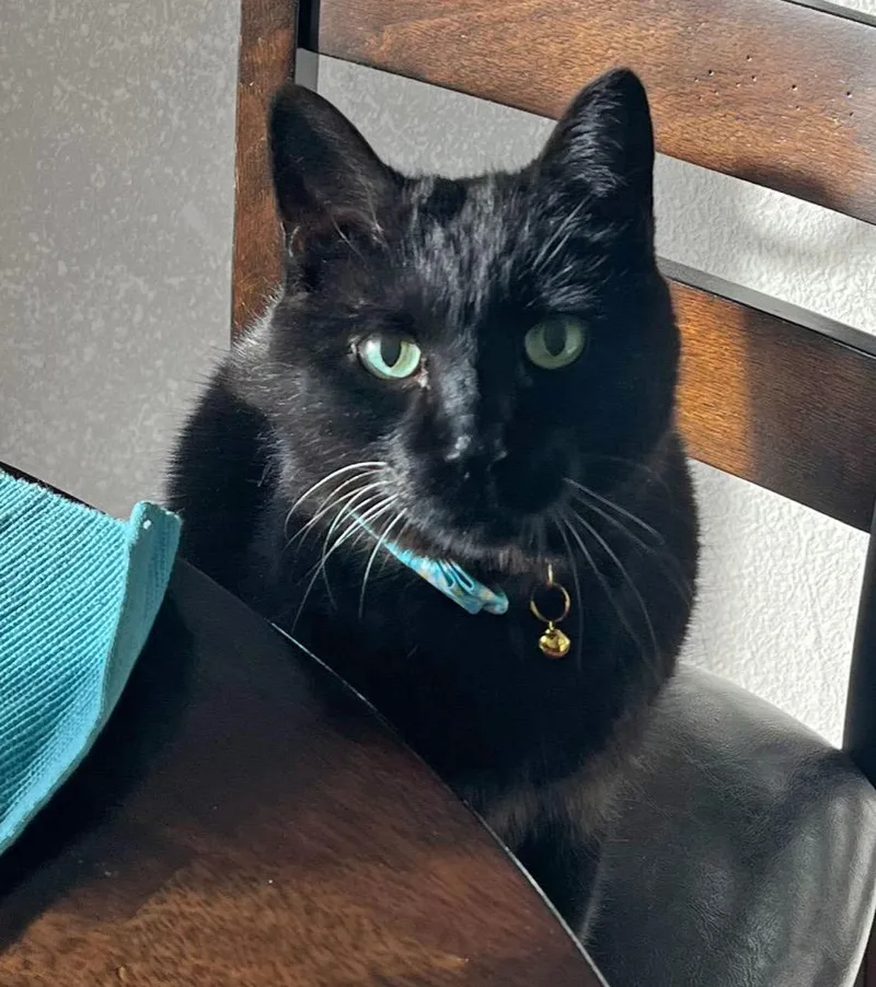 Guillaume thumbnail 2