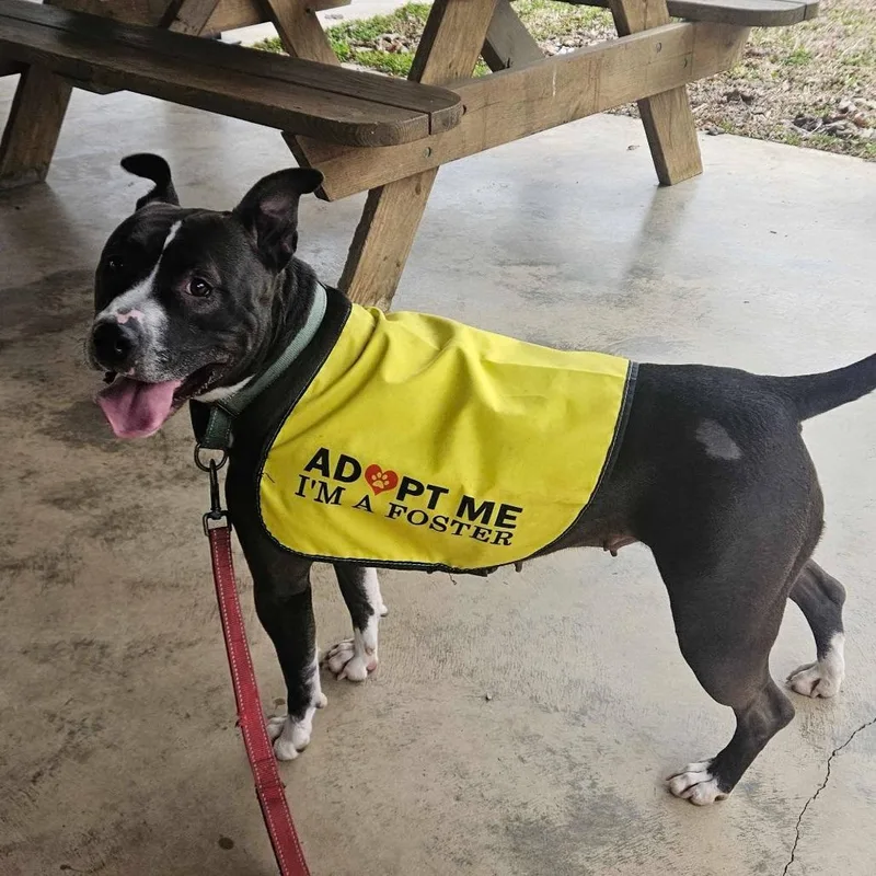 Wednesday thumbnail 5