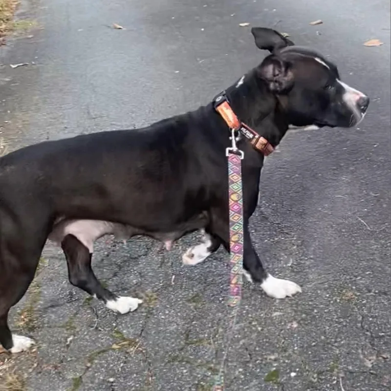 Wednesday thumbnail 6