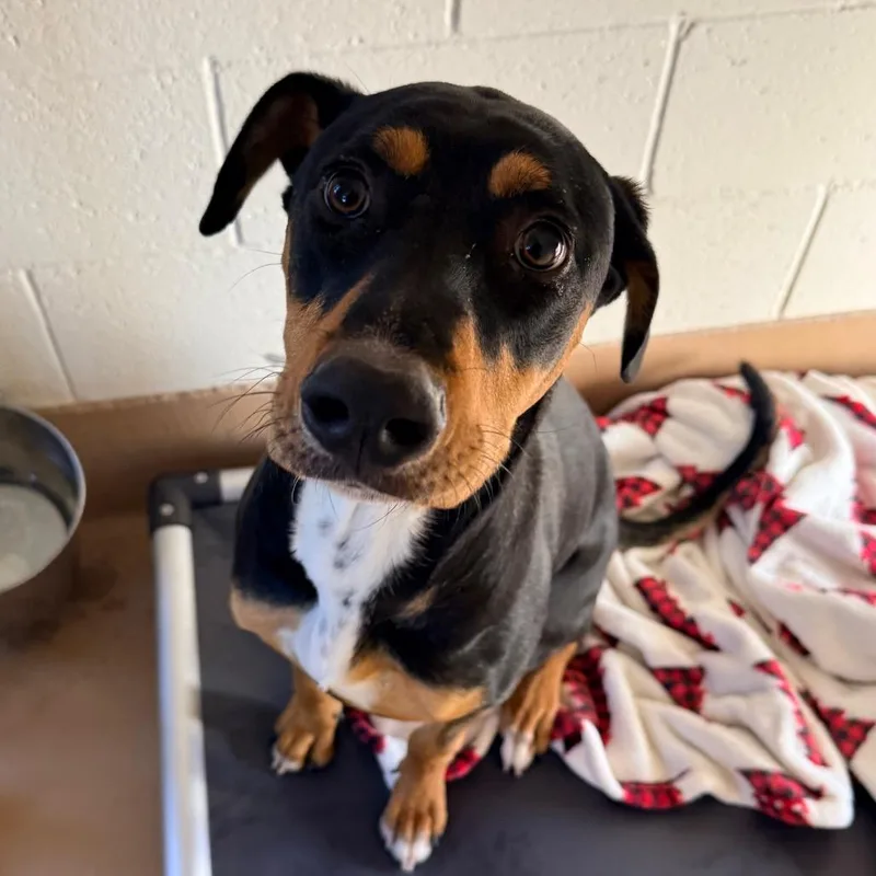 Freckles thumbnail 2