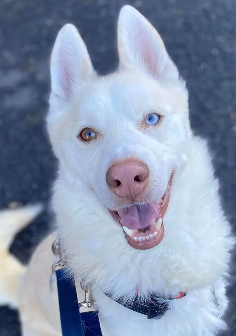 Maverick thumbnail 3