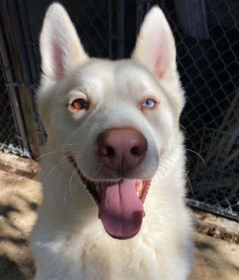 Maverick thumbnail 5