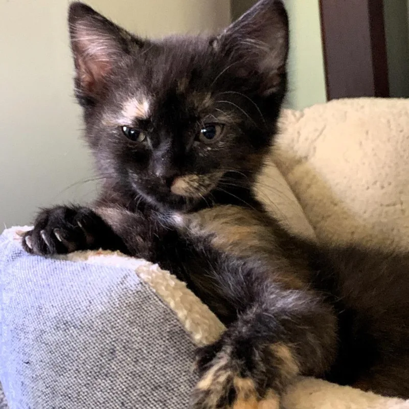 Winnie
