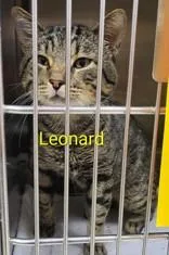 Leonard