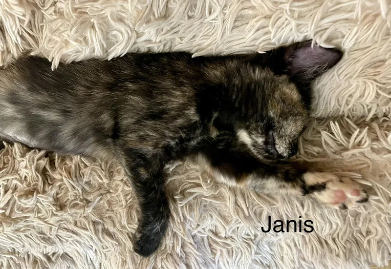 Janis thumbnail 2