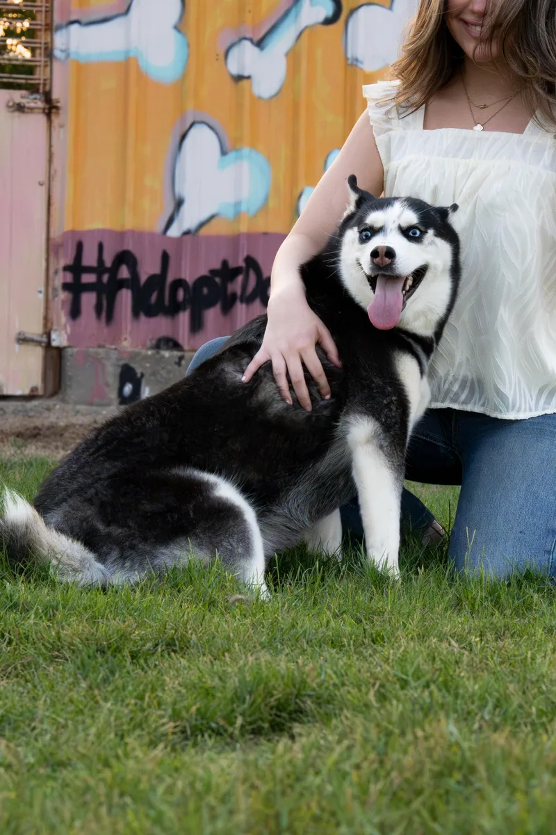 Sweetie thumbnail 2
