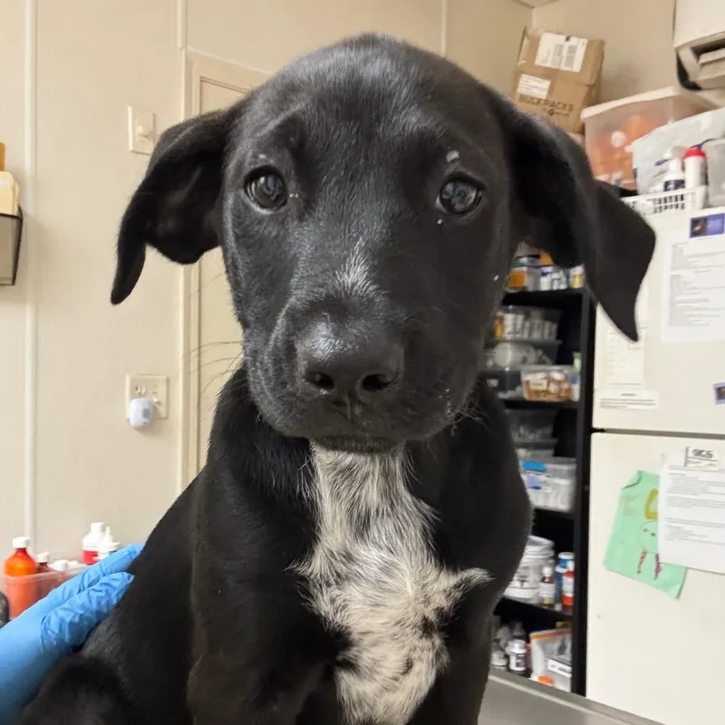 Zara Larson thumbnail 2