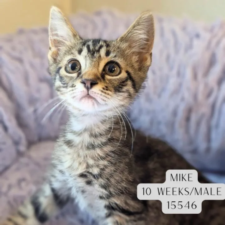 Mike