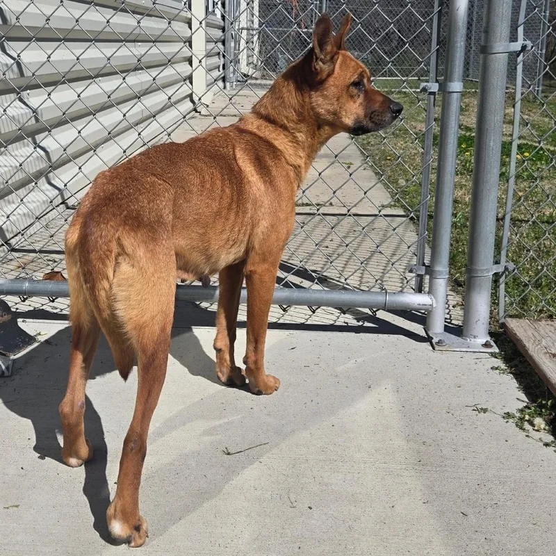 Lcpeachy thumbnail 3