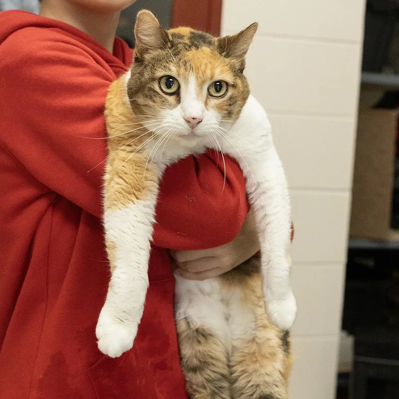 Madelein thumbnail 2